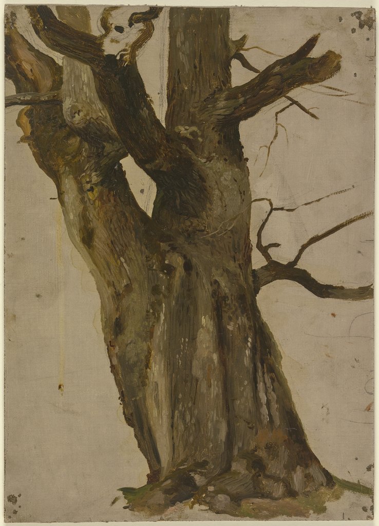 Hollow tree, Jakob Becker