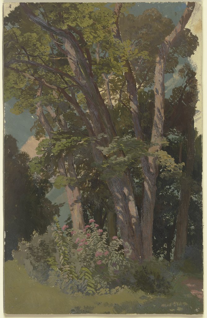 Park study, glade, Jakob Becker