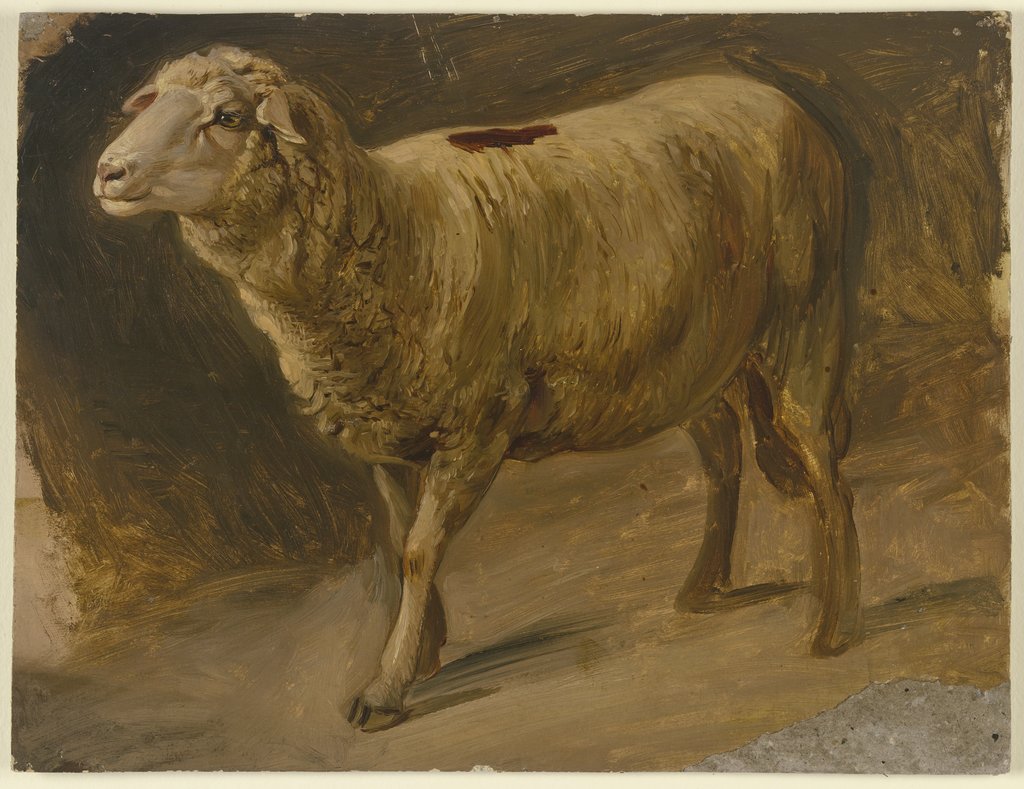 Sheep, Jakob Becker