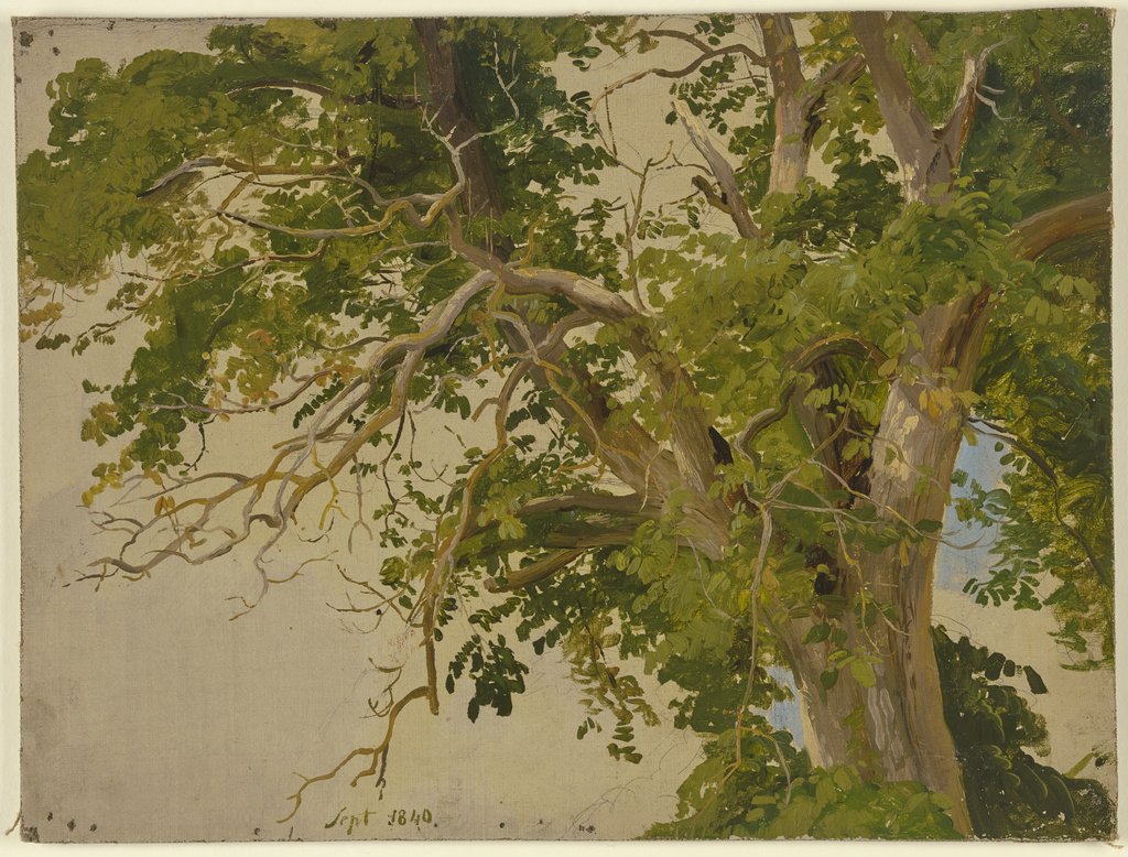 Treetop, Jakob Becker