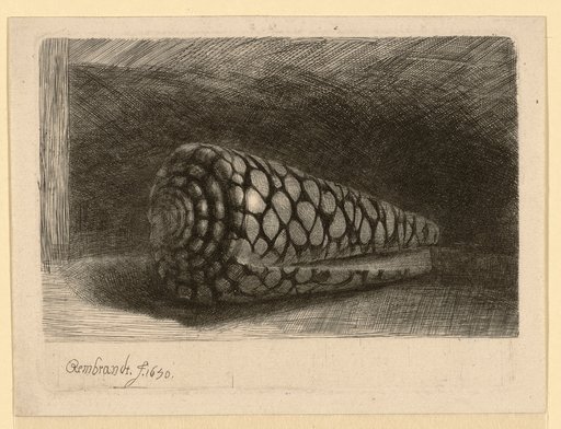 Die Muschel, Rembrandt Harmensz. van Rijn