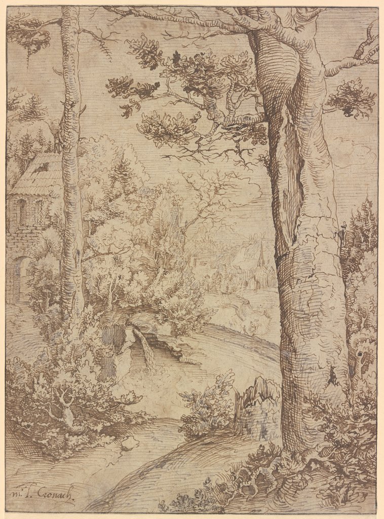 Landschaft mit Waldlichtung, Danube region, 16th century