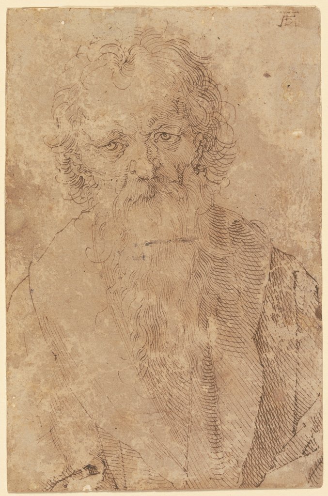 Bearded old man, Albrecht Dürer