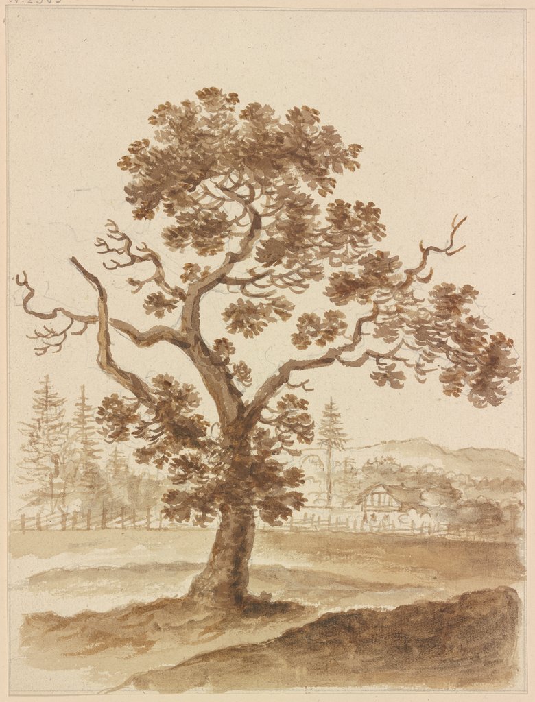 Leaf tree, Friedrich Wilhelm Hirt