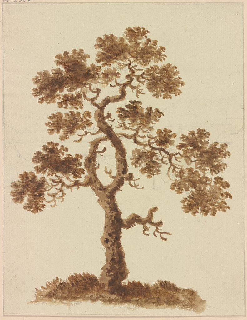 Leaf tree, Friedrich Wilhelm Hirt