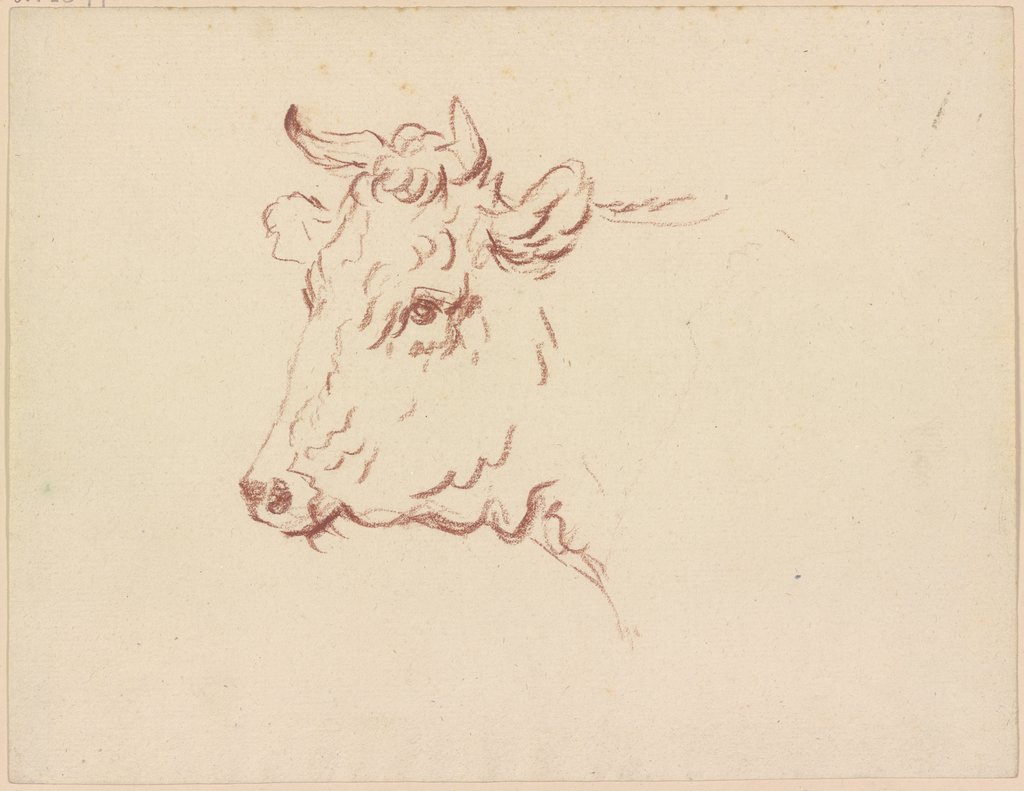 Ox head to the left, Friedrich Wilhelm Hirt