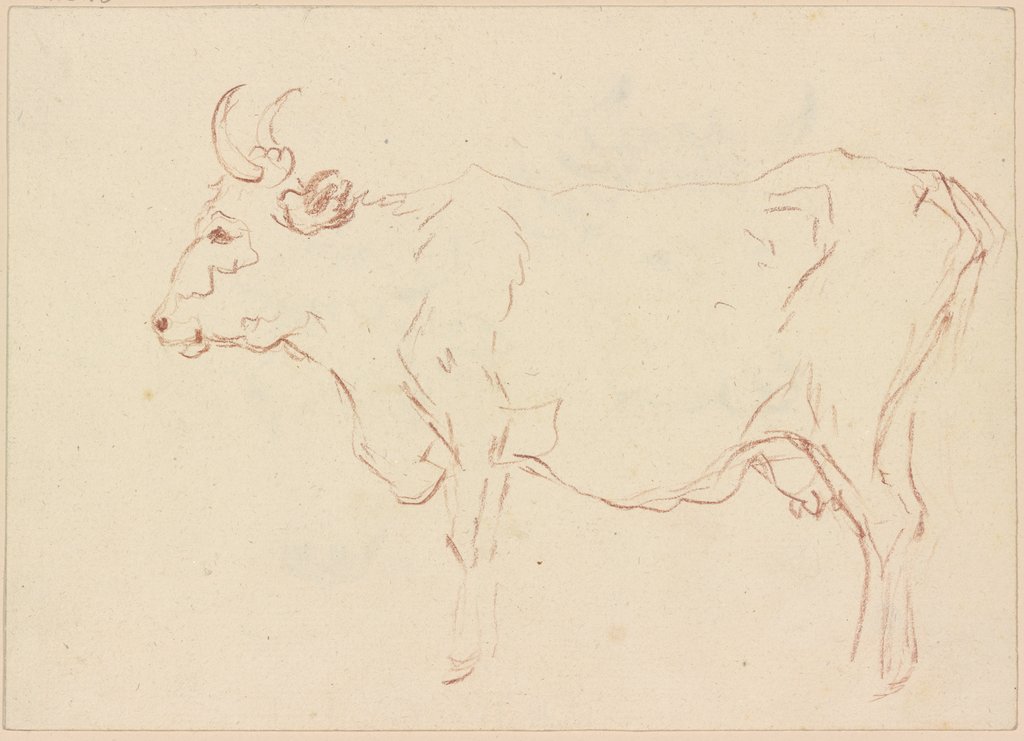 Standing cow to the left, Friedrich Wilhelm Hirt