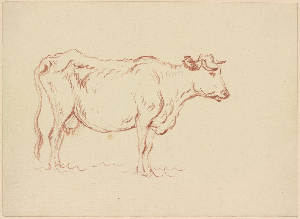 Standing cow to the right, Friedrich Wilhelm Hirt