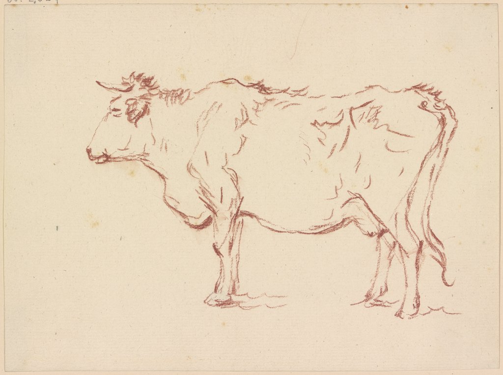 Standing cow to the left, Friedrich Wilhelm Hirt