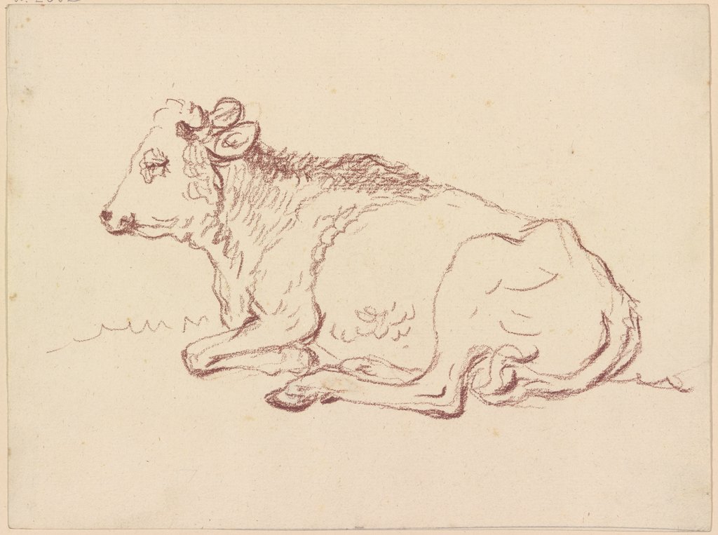 Lying cattle to the left, Friedrich Wilhelm Hirt