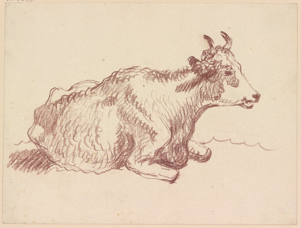 Lying cow, Friedrich Wilhelm Hirt