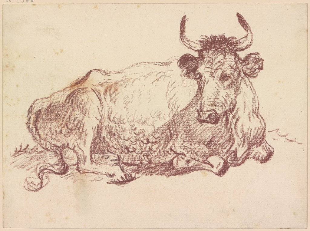 Lying cow, Friedrich Wilhelm Hirt