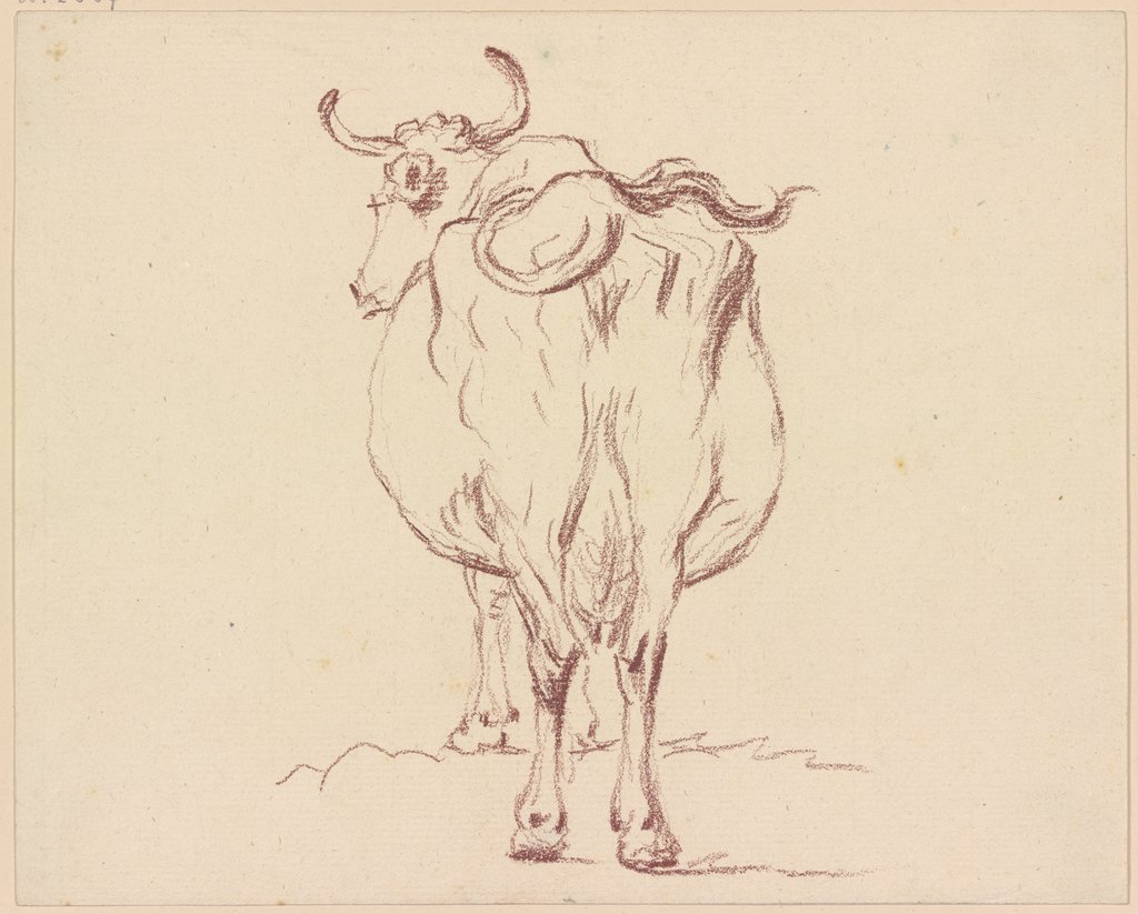 Cow, back view, Friedrich Wilhelm Hirt