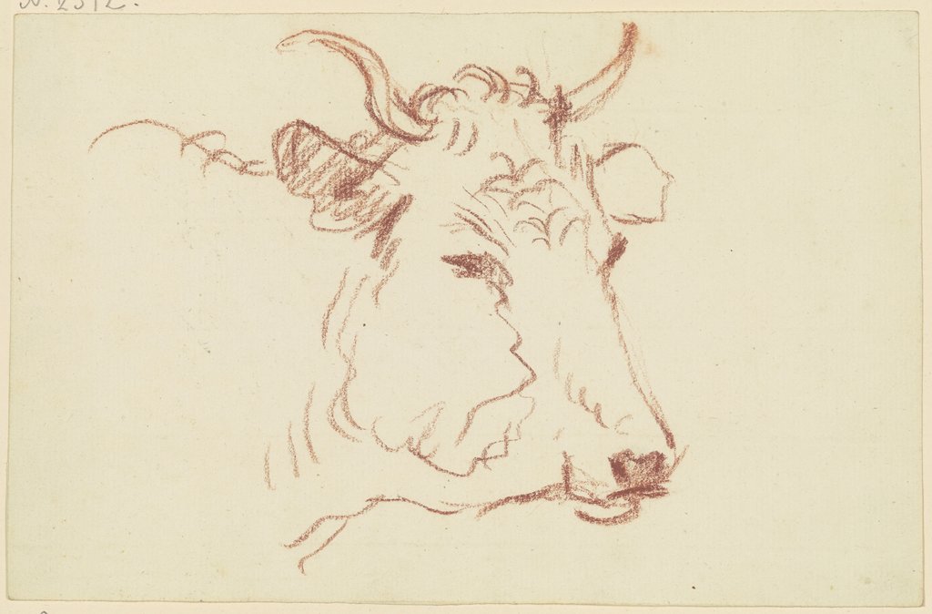 Cow head to the right, Friedrich Wilhelm Hirt