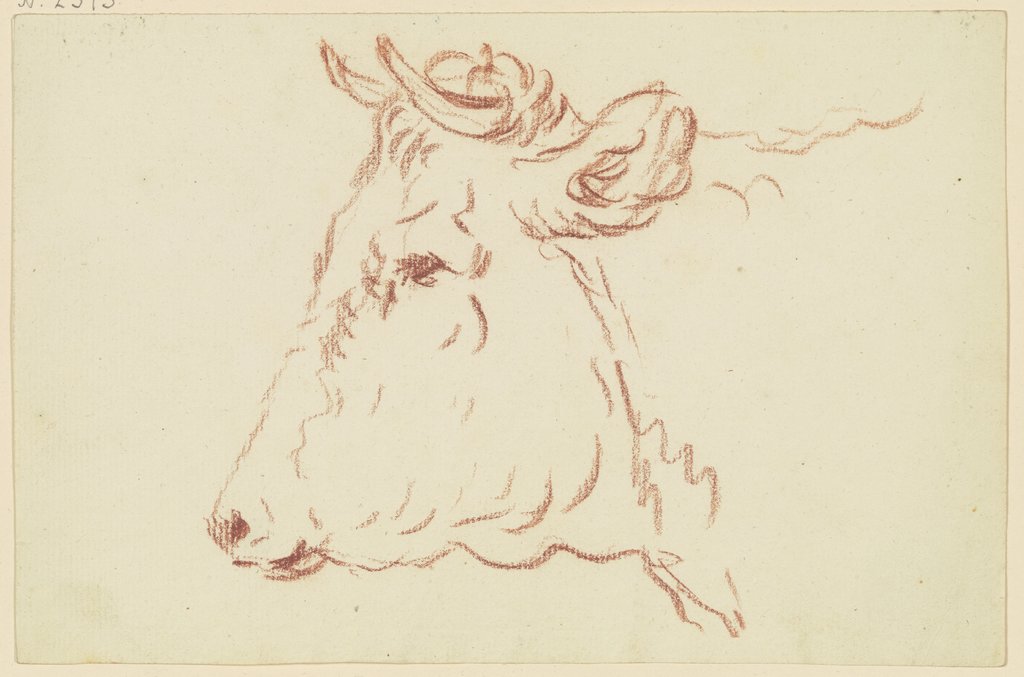 Cattle head to the left, Friedrich Wilhelm Hirt