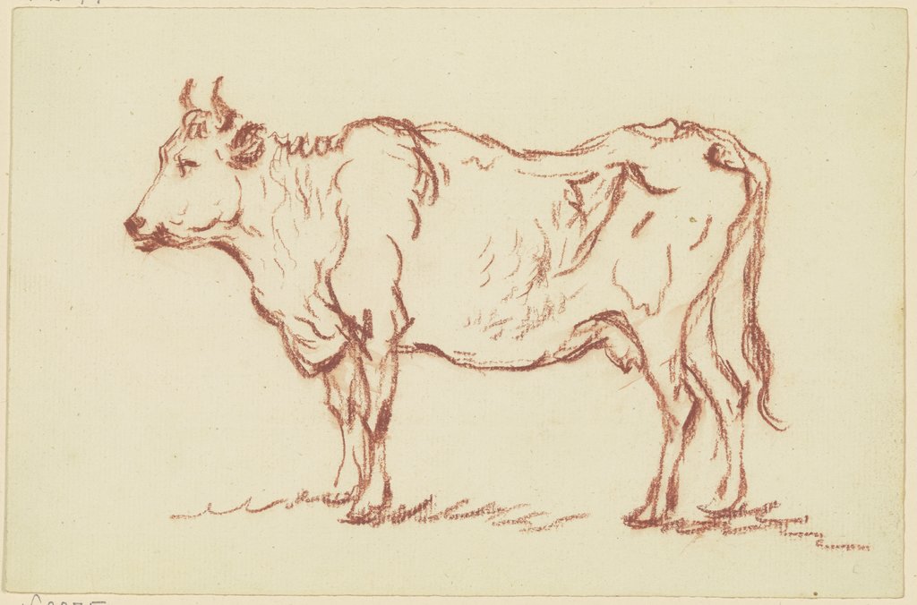 Standing cow to the left, Friedrich Wilhelm Hirt