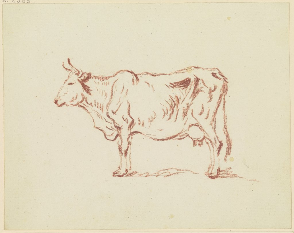 Standing cow to the left, Friedrich Wilhelm Hirt