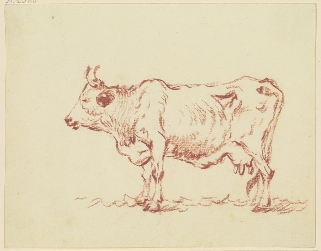 Stehende Kuh nach links, Friedrich Wilhelm Hirt