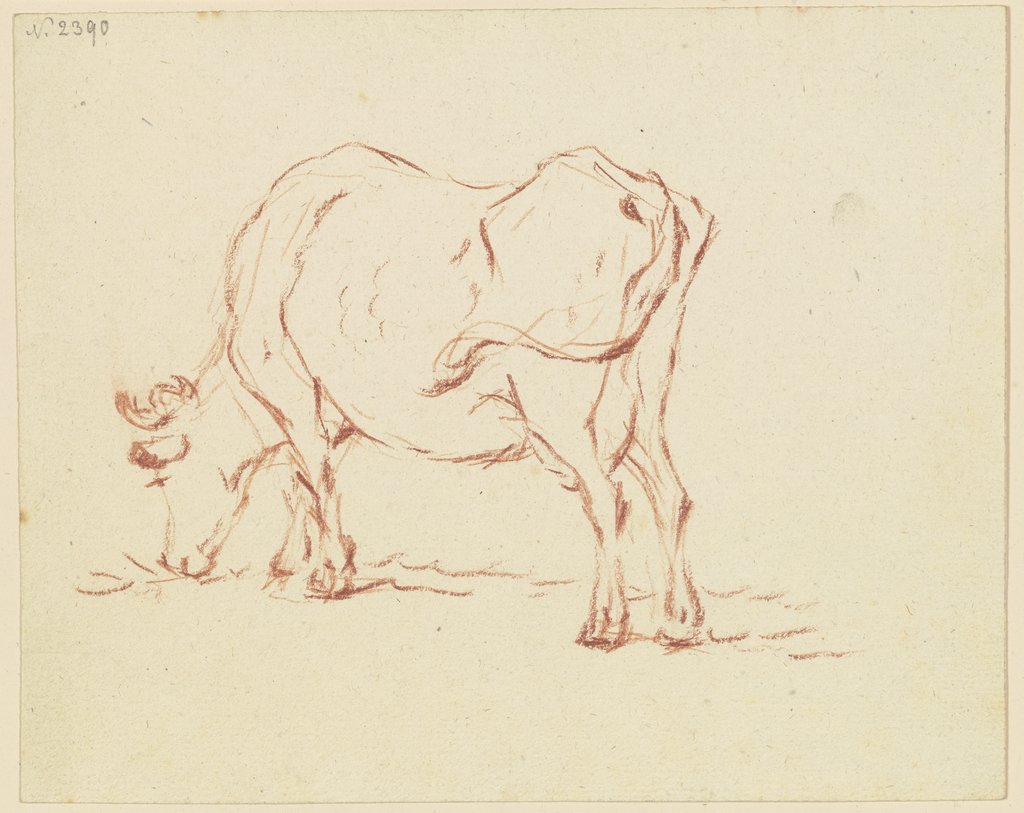 Grazing cow to the left, Friedrich Wilhelm Hirt