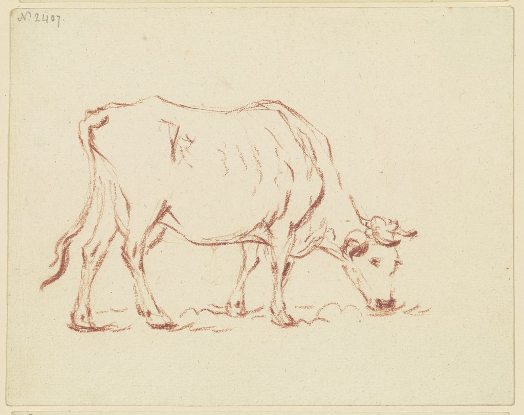 Grazing cow to the right, Friedrich Wilhelm Hirt