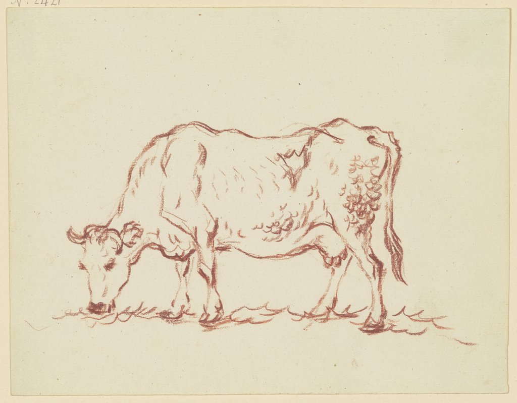 Grazing cow to the left, Friedrich Wilhelm Hirt