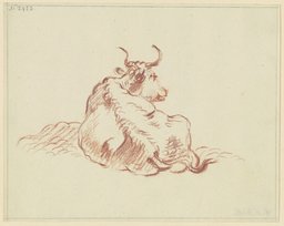 Liegendes Rind, in starker Verkürzung rückansichtig, den Kopf nach rechts gewandt, Friedrich Wilhelm Hirt