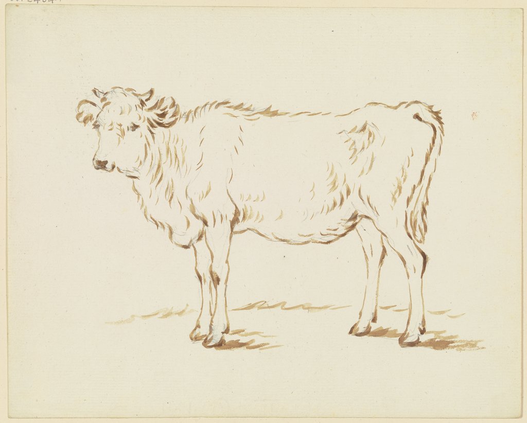 Stehendes Kalb nach links, Friedrich Wilhelm Hirt