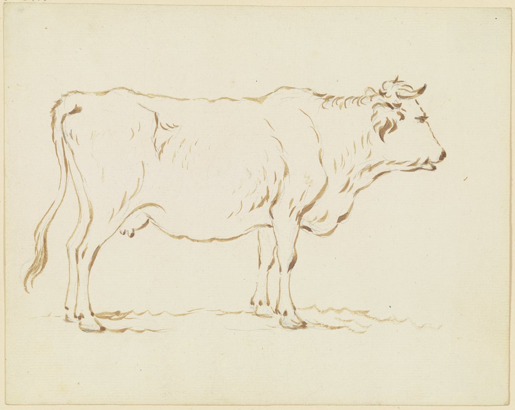 Standing cow to the right, Friedrich Wilhelm Hirt