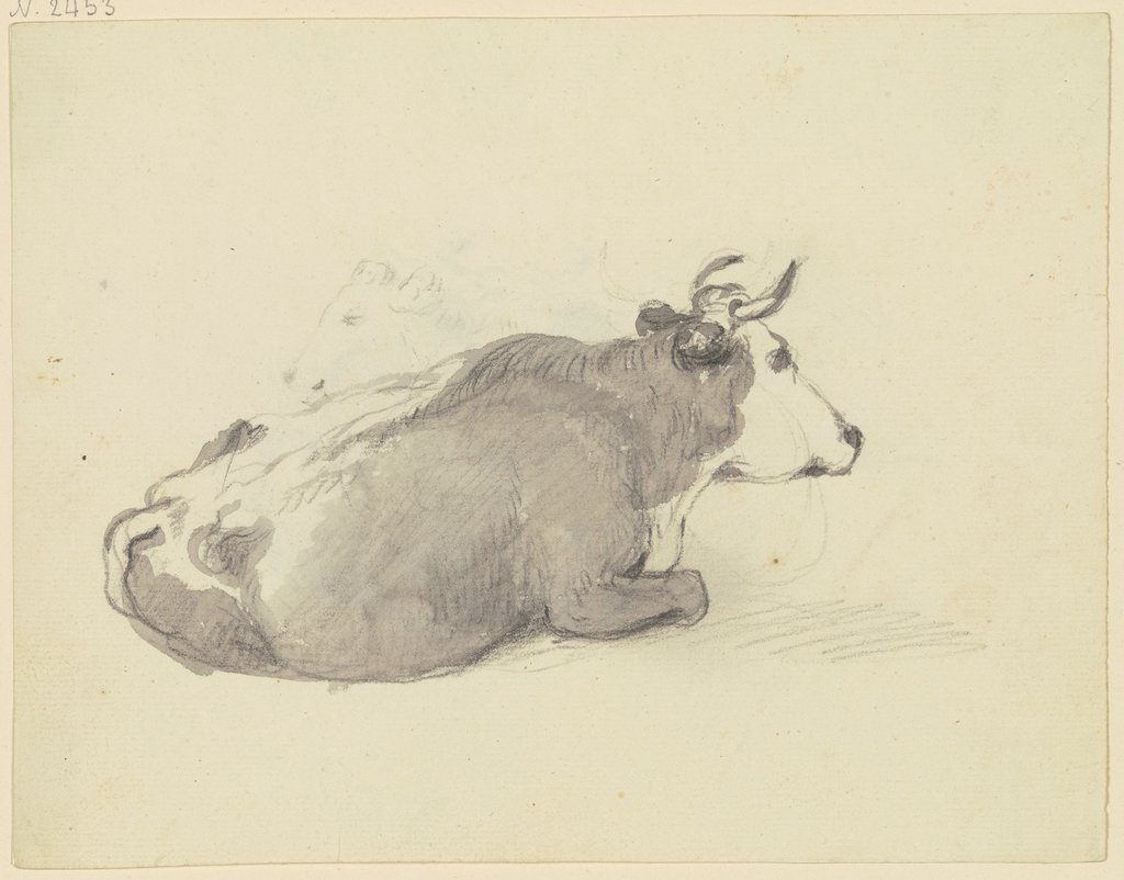 Lying cow to the right, Friedrich Wilhelm Hirt