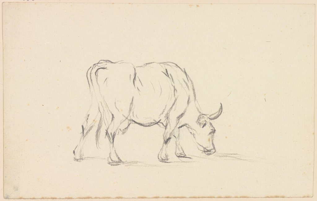 Grazing cow to the right, Friedrich Wilhelm Hirt