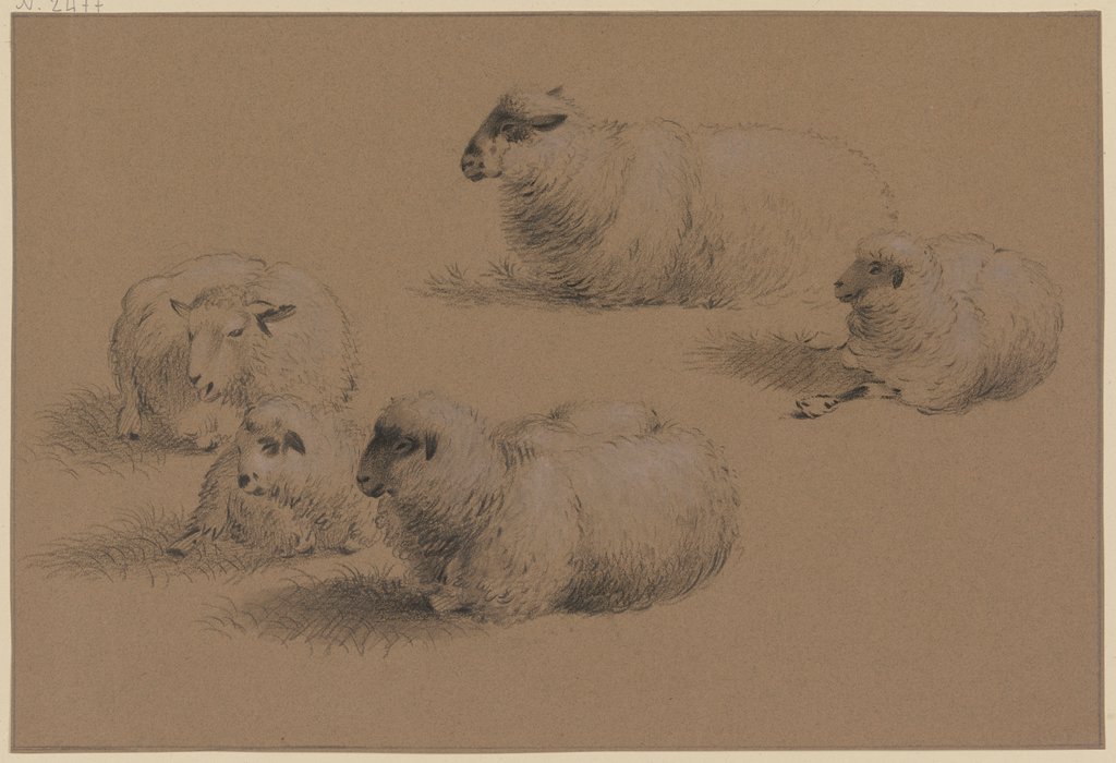 Five resting sheep, Friedrich Wilhelm Hirt