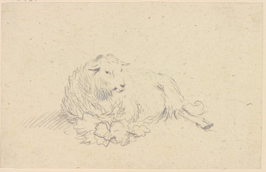 Lying sheep, Friedrich Wilhelm Hirt