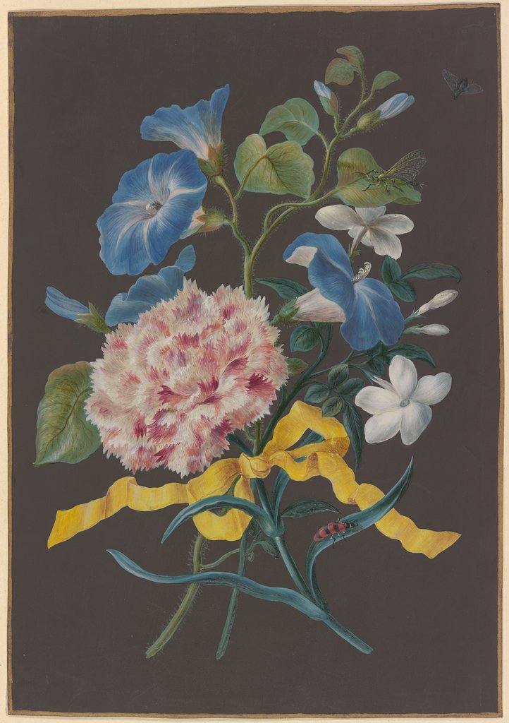 Blumengebinde mit rosa Nelke (Dianthus), blauer Winde (Convolvulus) und weißem Jasmin (Jasminum), mit rotschwarz getreiftem Käfer, Libelle und Fliege, Barbara Regina Dietzsch;  Umkreis; zugeschrieben