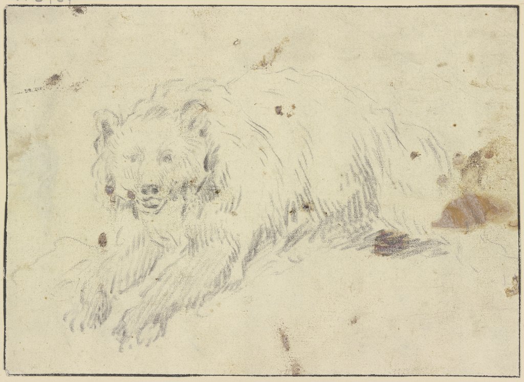 Lying bear to the left, Johann Melchior Roos