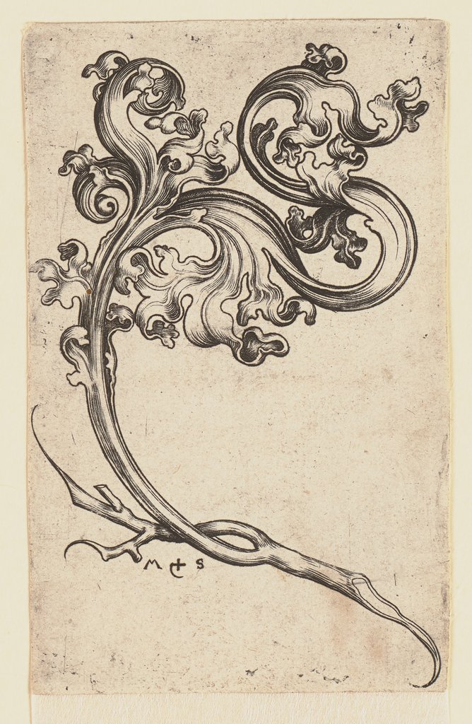 Ein Blattornament, Martin Schongauer