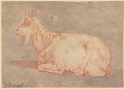 Liegende Ziege nach links, Johann Heinrich Roos