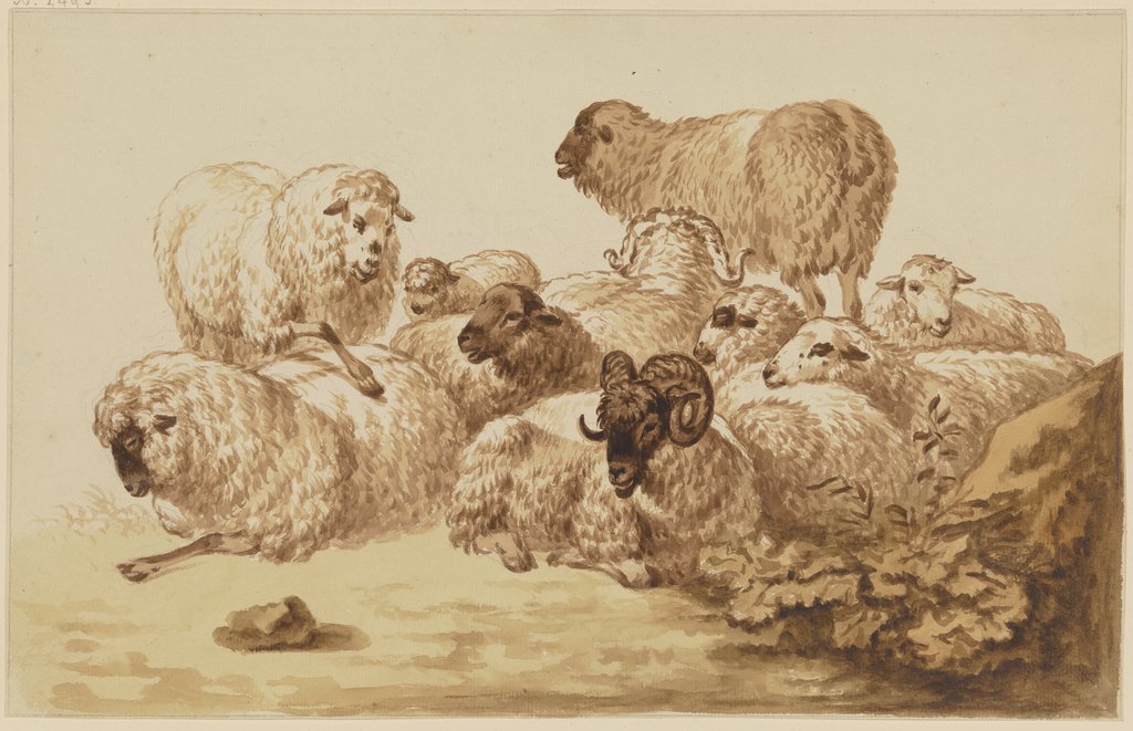 Flock of sheep, Friedrich Wilhelm Hirt