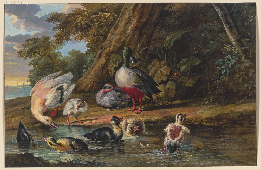 Three Ducks with Their Young at the Water’s Edge, Dirck Dalens III, after Melchior de Hondecoeter