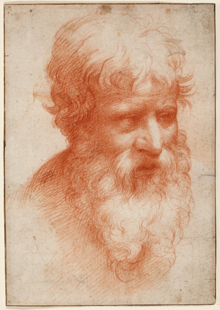 Head of a Bearded Man, looking right, Parmigianino