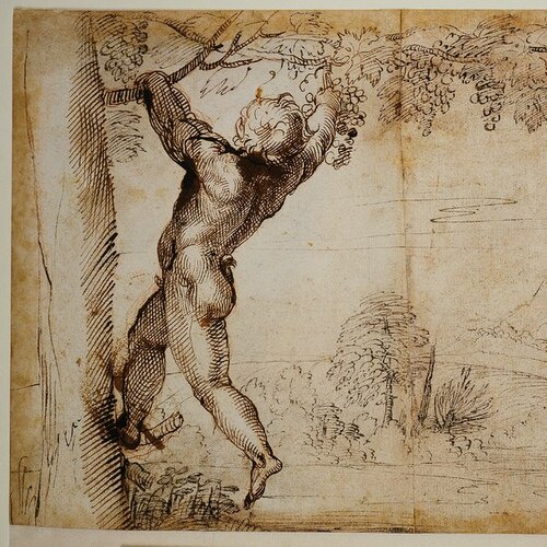 Two boy satyrs picking grapes, Annibale Carracci;   attributed