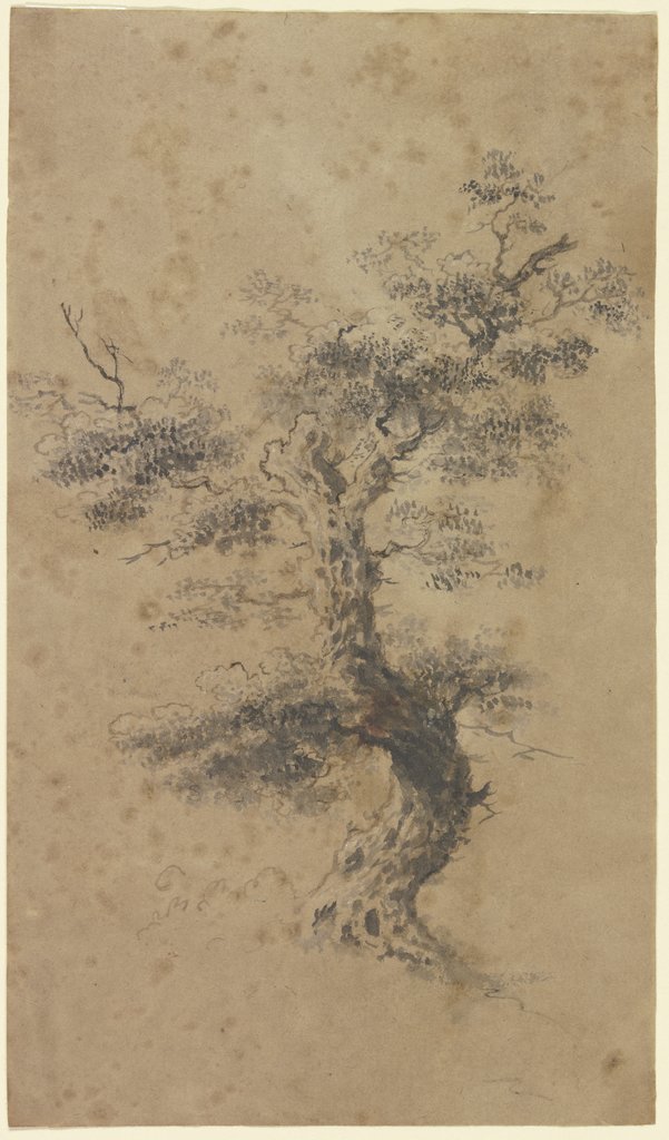 Alter Baum, Georg Melchior Kraus