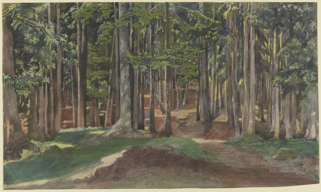 Inside a forest, Theodor Alt