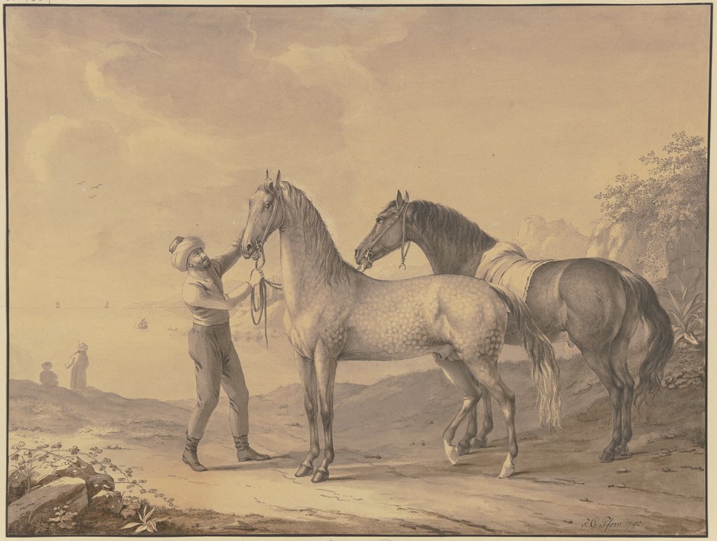 Horses from Tunis, Johann Georg Pforr