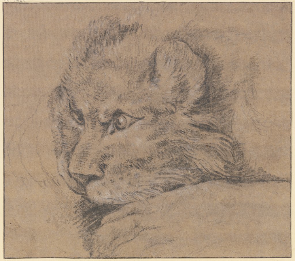 Lion's head, Johann Elias Ridinger