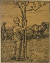 Gärtner, einen Baum anbindend, Fritz Boehle