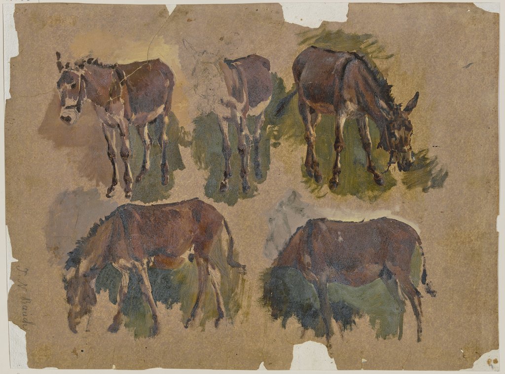 Five mules, Johann Nepomuk Rauch