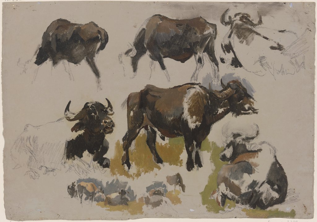 Buffalos and cattle, Johann Nepomuk Rauch