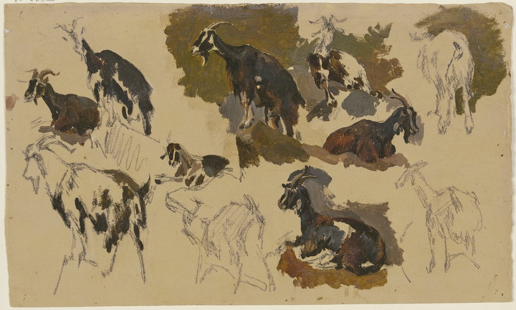 Eleven goats, Johann Nepomuk Rauch