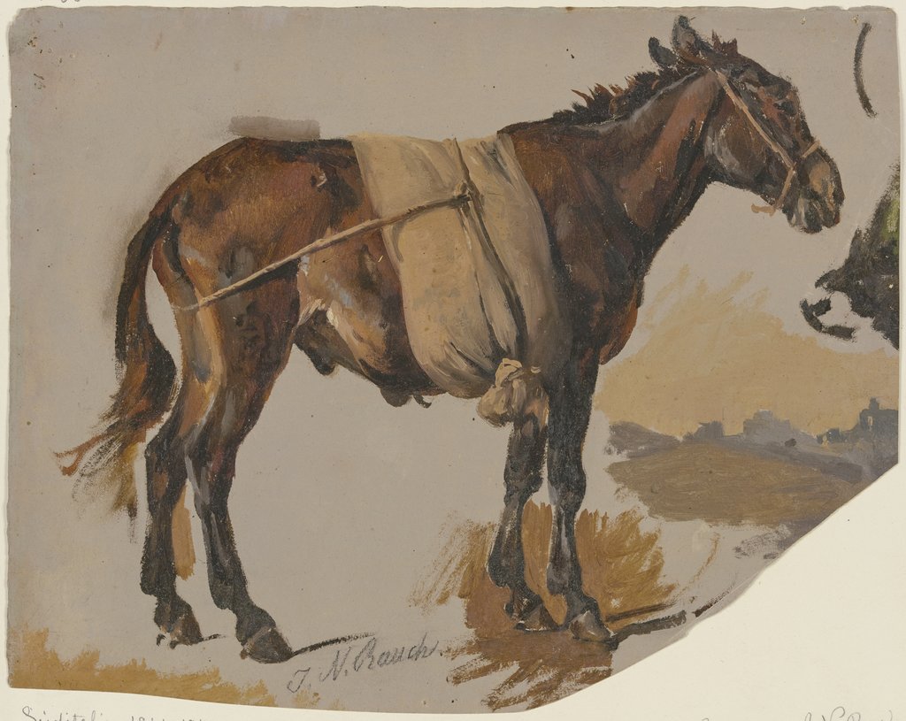 A mule, Johann Nepomuk Rauch