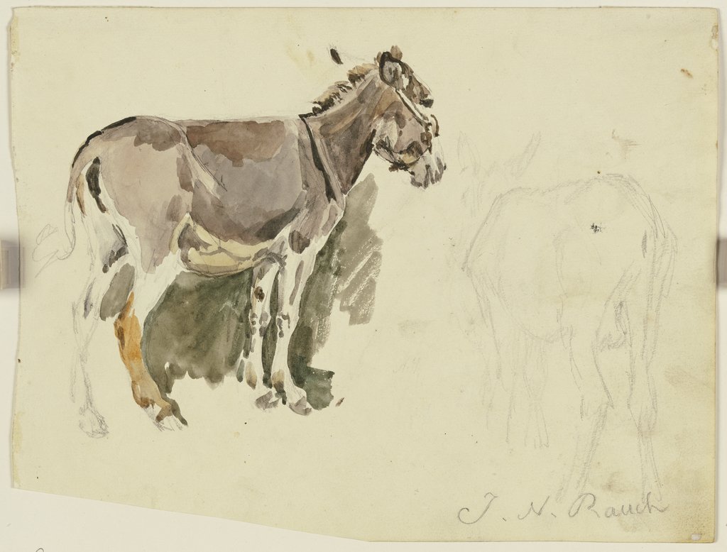 Two donkeys, Johann Nepomuk Rauch